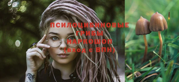 2c-b Дмитров