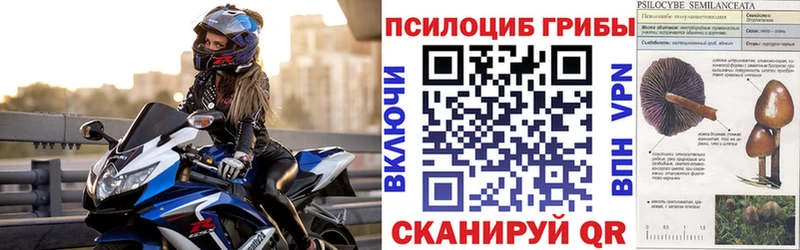Купить закладки  Невель  Псилоцибиновые грибы MAGIC MUSHROOMS 