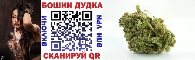 Купить закладки  Невель  МАРИХУАНА Amnesia 